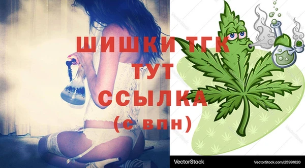 Альфа ПВП Абаза