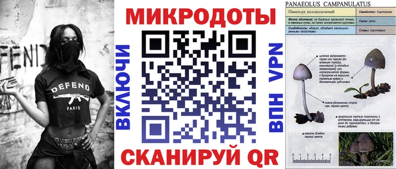Псилоцибиновые грибы Cubensis Златоуст