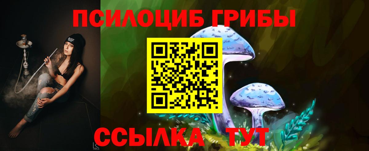 Галлюциногенные грибы Psilocybine cubensis  Вход с VPN  Златоуст  Псилоцибиновые грибы ЛСД 